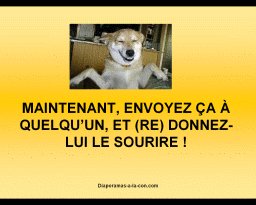 Télécharger le diaporama pps gratuit